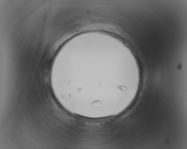 X0000115821505200912241924