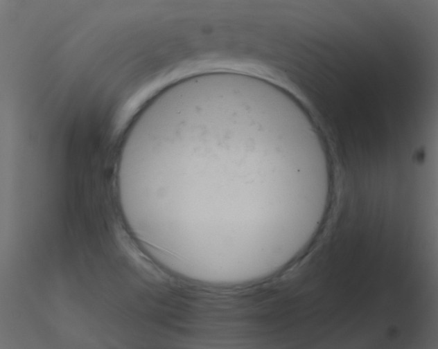 X0000115821507200912241924