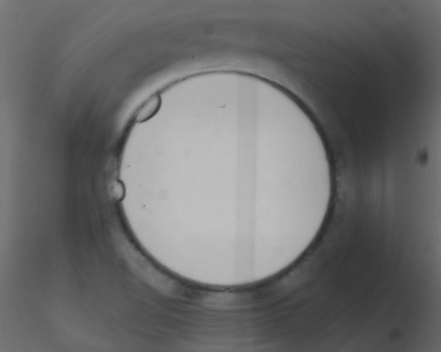 X0000115821510200912241924