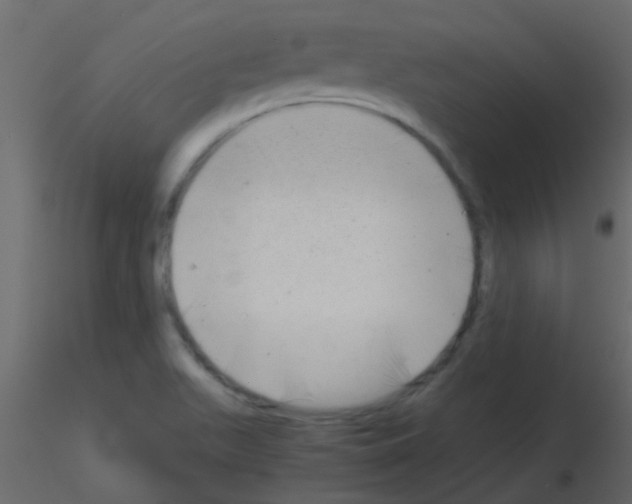 X0000115821511200912241924