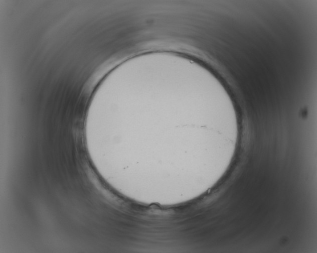 X0000115821513200912241924