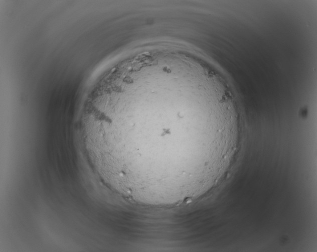 X0000115821514200912241924