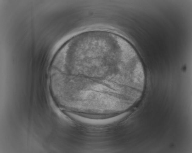 X0000115821515200912241924