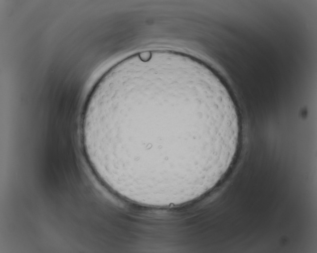 X0000115821517200912241924