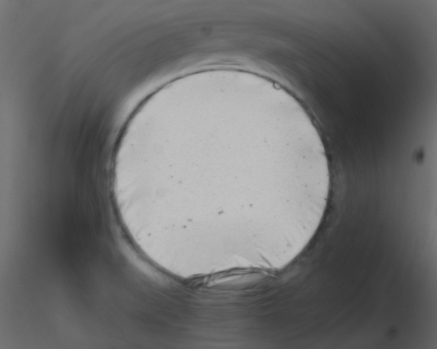 X0000115821519200912241924