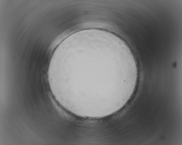 X0000115821521200912241924