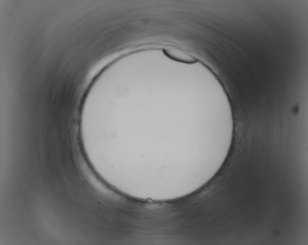 X0000115821523200912241924