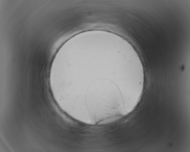 X0000115821525200912241924