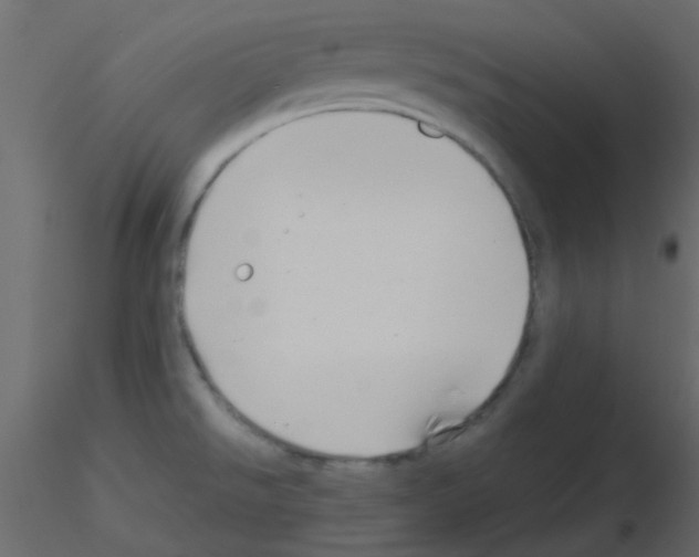 X0000115821526200912241924