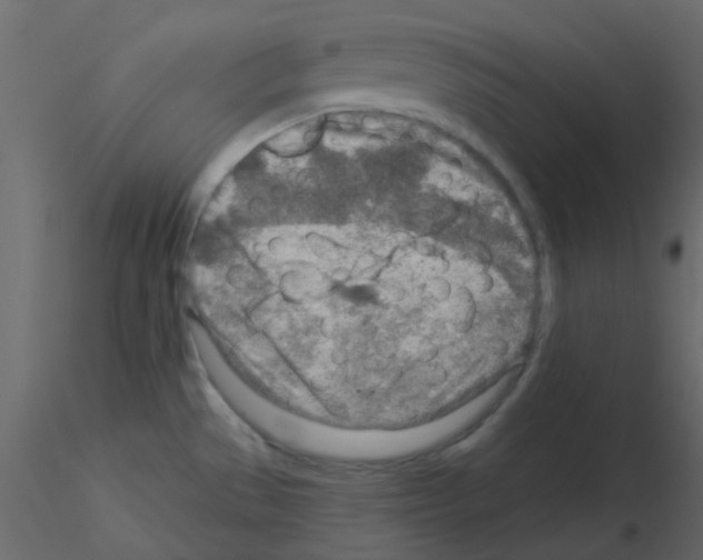 X0000115821529200912241924