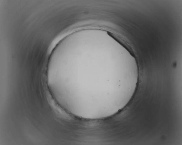 X0000115821530200912241924