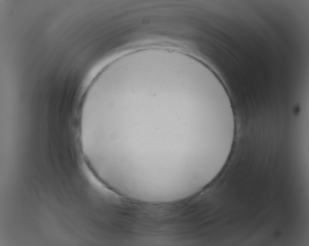 X0000115821531200912241924