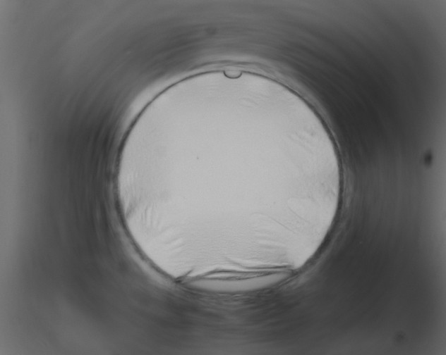 X0000115821533200912241924