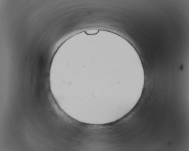 X0000115821534200912241924