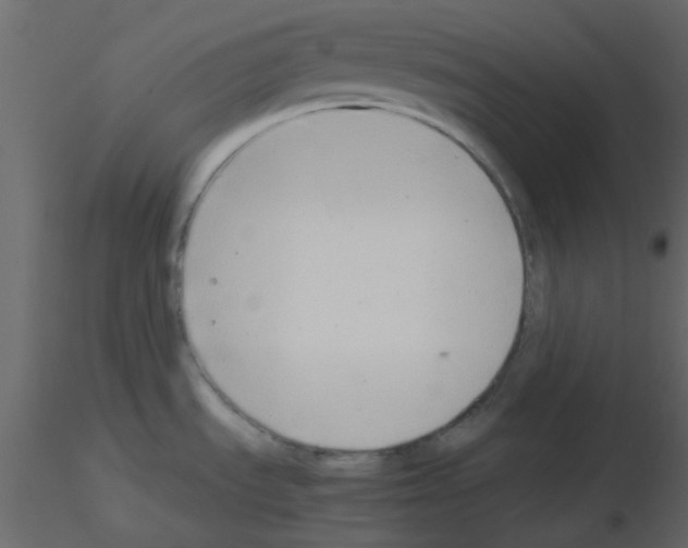 X0000115821535200912241924