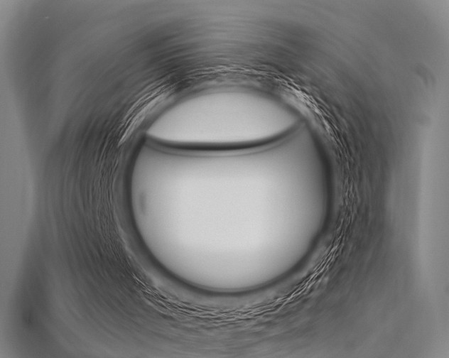 X0000115830001200911131137