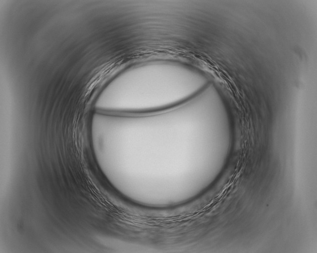 X0000115830002200911131137