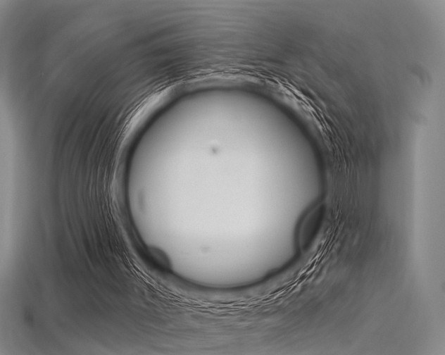 X0000115830003200911131137