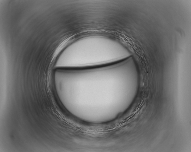 X0000115830004200911131137