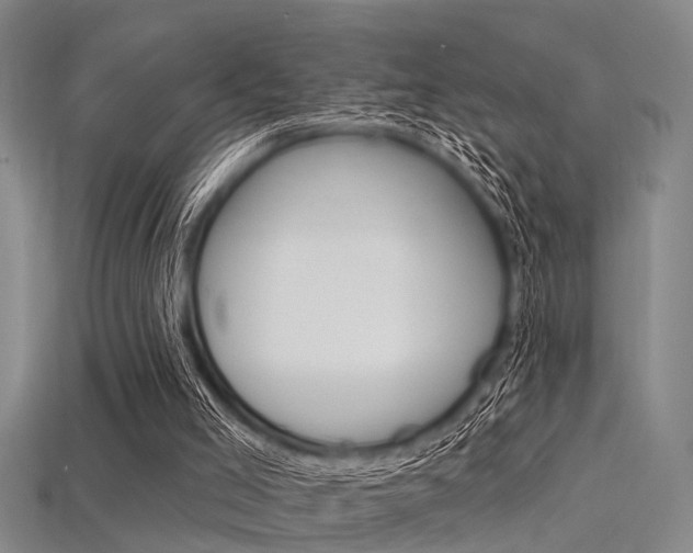 X0000115830005200911131137