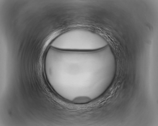 X0000115830006200911131137