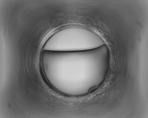 X0000115830007200911131137