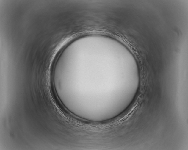 X0000115830008200911131137