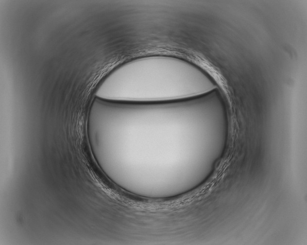 X0000115830009200911131137