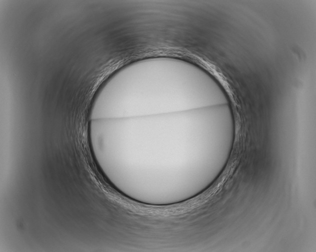 X0000115830010200911131137