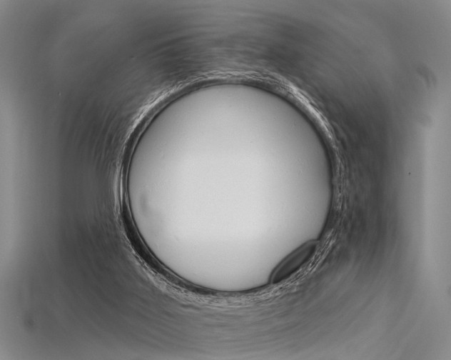 X0000115830011200911131137