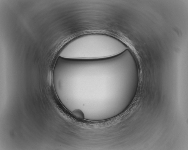 X0000115830013200911131137