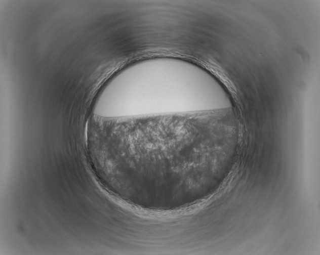 X0000115830014200911131137