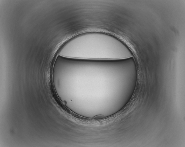 X0000115830015200911131137