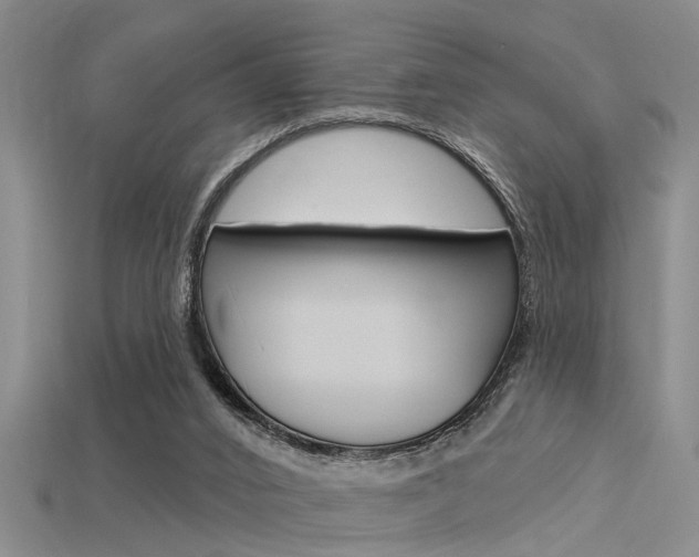 X0000115830016200911131137