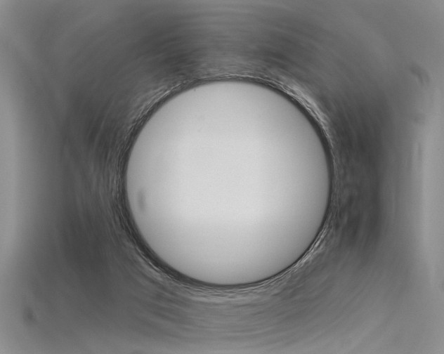 X0000115830017200911131137