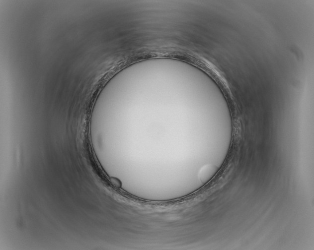 X0000115830018200911131137