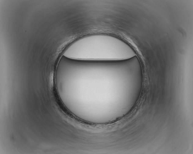 X0000115830019200911131137