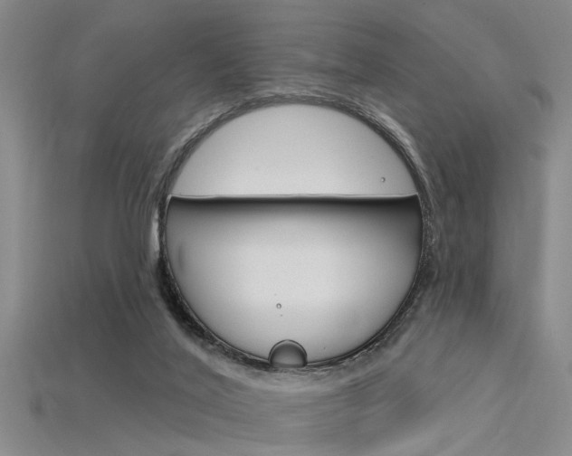 X0000115830020200911131137