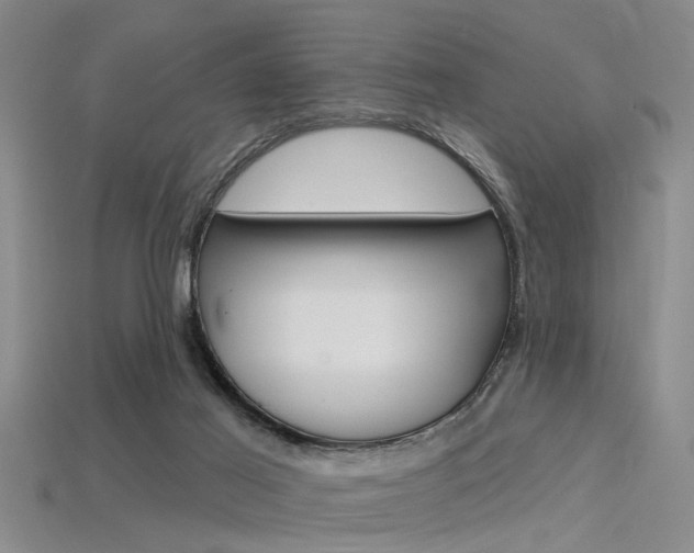 X0000115830021200911131137