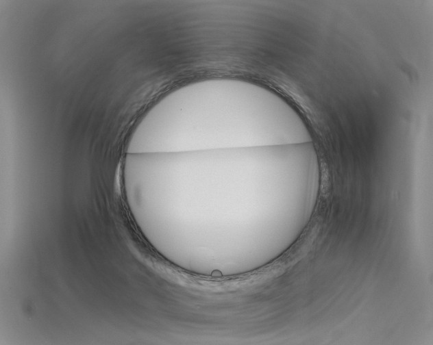 X0000115830022200911131137