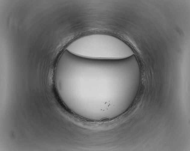 X0000115830023200911131137