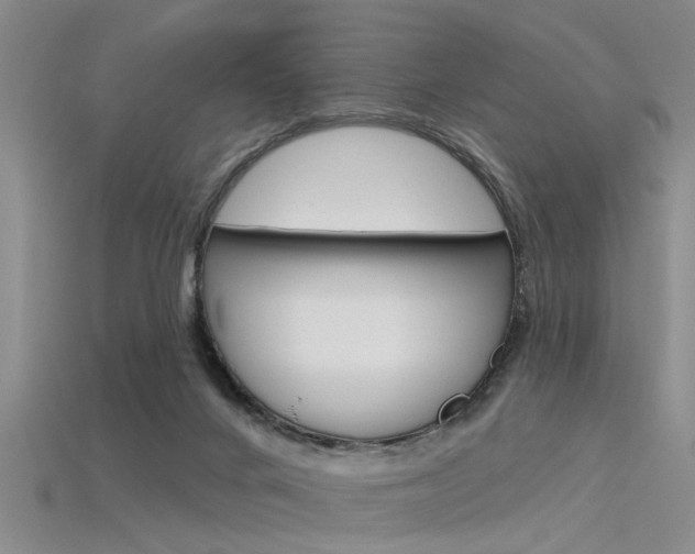 X0000115830024200911131137