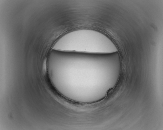 X0000115830028200911131137