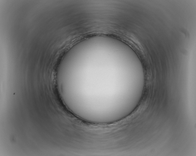 X0000115830029200911131137