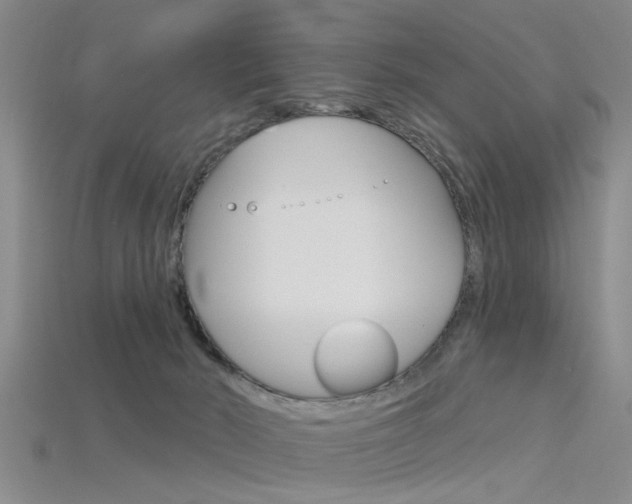 X0000115830030200911131137