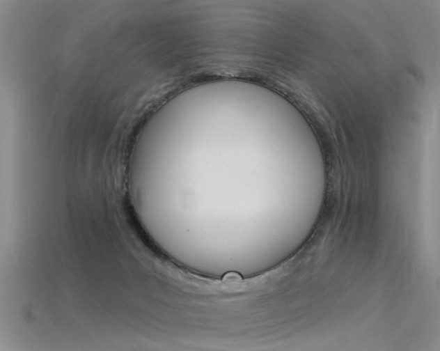 X0000115830031200911131137