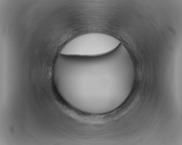 X0000115830032200911131137