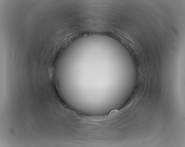 X0000115830033200911131137