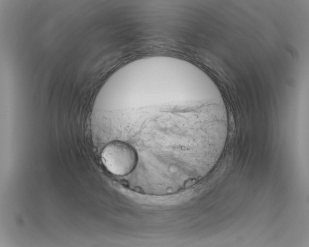 X0000115830034200911131136