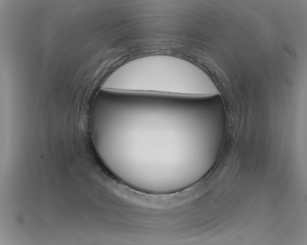 X0000115830035200911131136